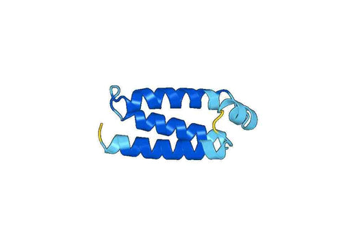 Recombinant Human NDUFA5 Protein, N-His-SUMO