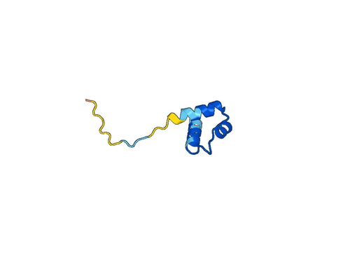 Recombinant Human NDUFAF4 Protein, N-His-SUMO
