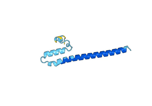 Recombinant Human NDUFB7 Protein, N-His-SUMO
