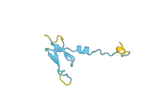 Recombinant Human NDUFS6 Protein, N-GST & C-His
