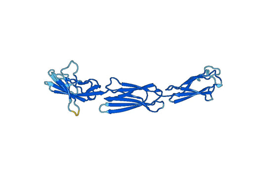 Recombinant Human NECTIN4/PVRL4 Protein, N-His