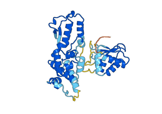 Recombinant Human NEDD4L/Nedd4-2, N-His