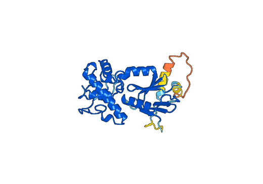 Recombinant Human NEIL3 Protein, N-His