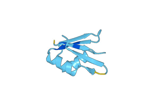 Recombinant Human NELFE Protein, N-His-SUMO & C-Strep