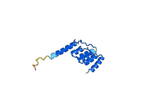 Recombinant Human NFKBIZ Protein, N-His