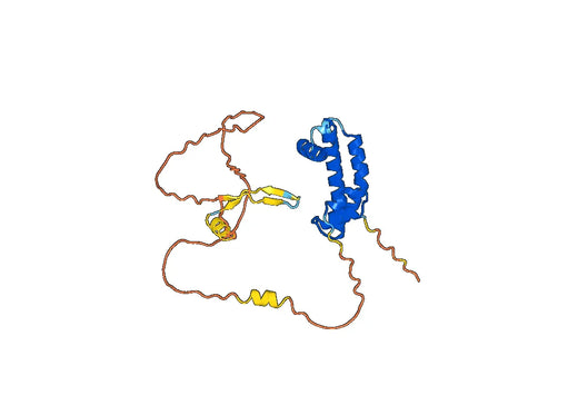 Recombinant Human NFYC, N-GST
