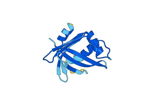 Recombinant Human NHEJ1 Protein, N-His