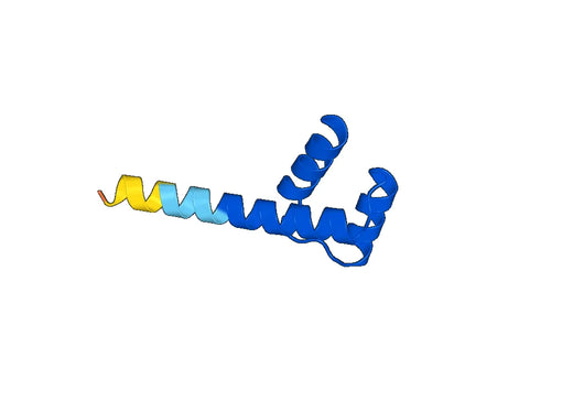 Recombinant Human NKX2-5 Protein, N-GST & C-His