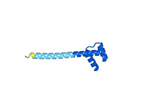 Recombinant Human NKX6-1 Protein, N-His-SUMO