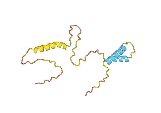 Recombinant Human NMU, N-GST