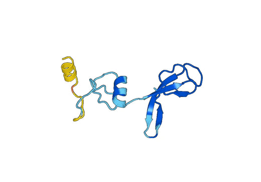 Recombinant Human NOB1 Protein, N-His