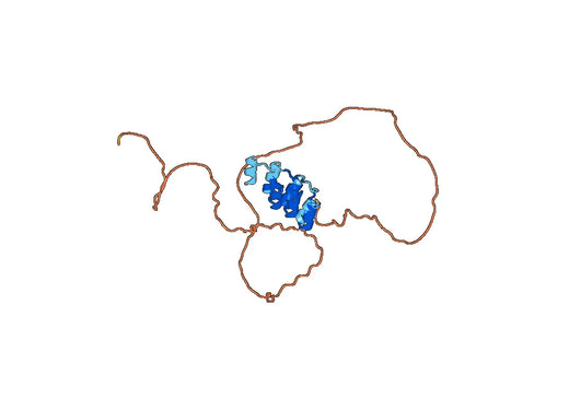 Recombinant Human NOTCH4, N-His