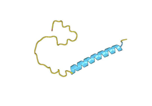 Recombinant Human NPPC Protein, N-His-SUMO