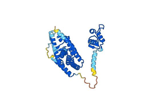 Recombinant Human NR1H3, N-His