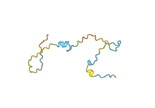 Recombinant Human NRDE2 Protein, N-His-SUMO