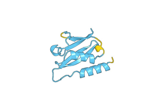 Recombinant Human NSFL1C Protein, N-His-SUMO