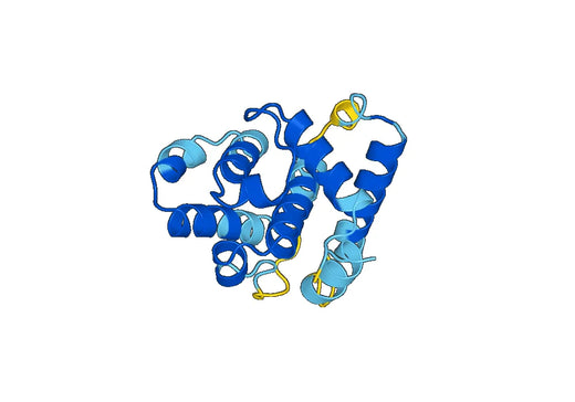 Recombinant Human NUMA1/NMP-22 Protein, N-His