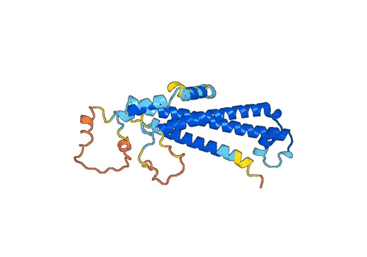 Recombinant Human NUP205, N-His