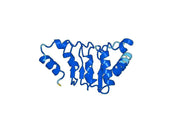 Recombinant Human NXF1 Protein, N-His