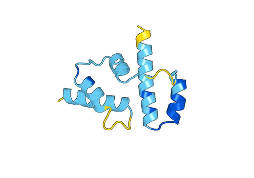 Recombinant Human OFD1 Protein, N-His-SUMO