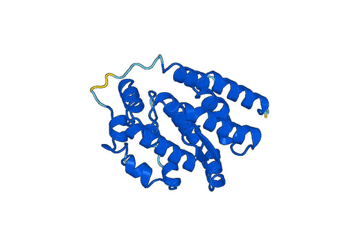 Recombinant Human OGFR Protein, N-His