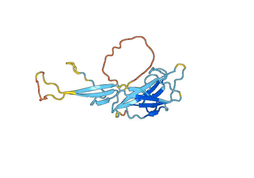 Recombinant Human OIT3, N-His