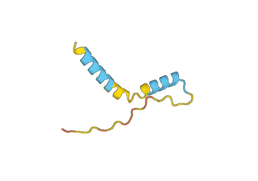 Recombinant Human ORAI2 Protein, N-His-SUMO