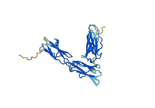 Recombinant Human OSMR, N-His