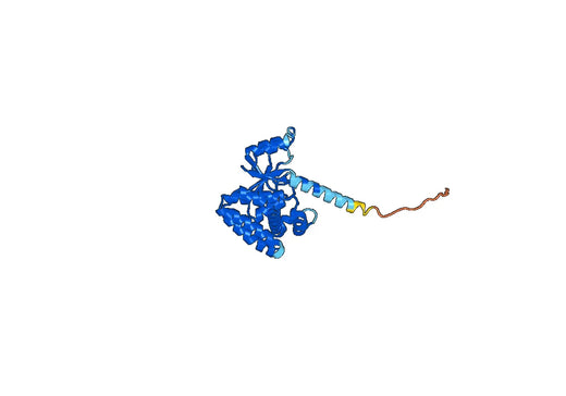 Recombinant Human OTUB1, N-His