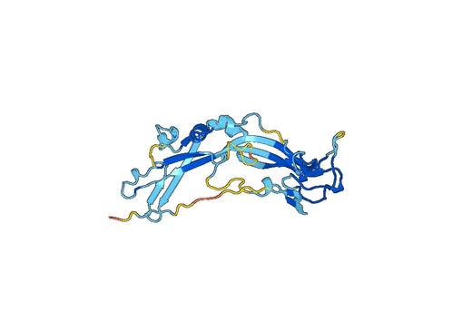 Recombinant Human P2RX5 Protein, N-His
