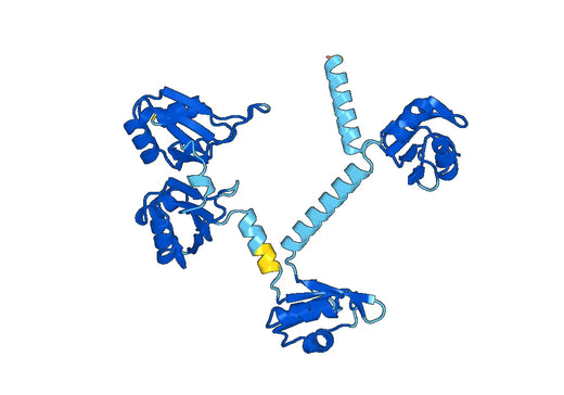 Recombinant Human PABPC1 Protein, N-His