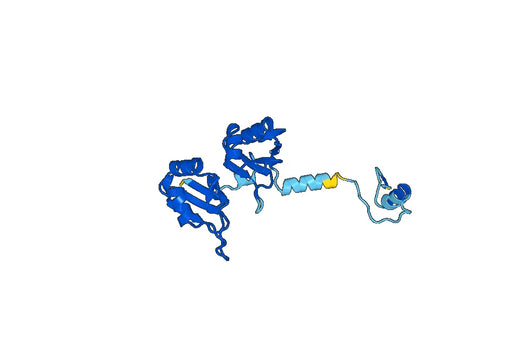 Recombinant Human PABPC4 Protein, N-His