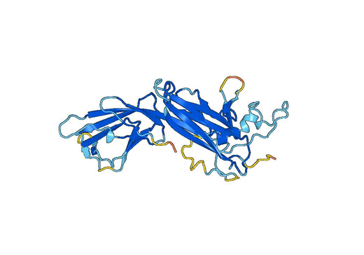 Recombinant Human PADI4, N-His