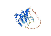 Recombinant Human PAK2, N-His