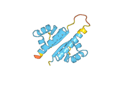 Recombinant Human PCBP2 Protein, N-His