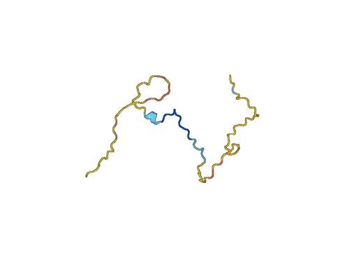 Recombinant Human PCLAF, N-His