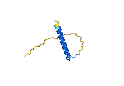 Recombinant Human PCP4 Protein, N-His-SUMO
