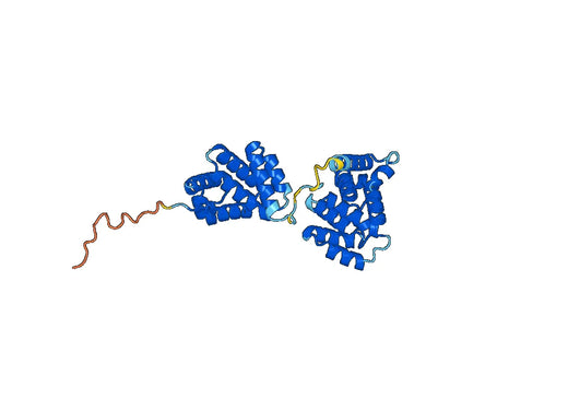 Recombinant Human PDCD4/PD4 Protein, N-His