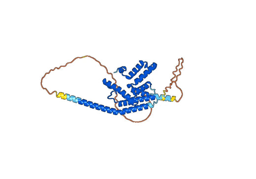Recombinant Human PDE1C, N-His
