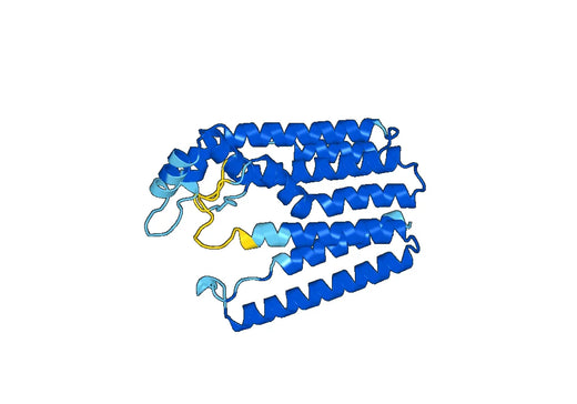 Recombinant Human PDSS2 Protein, N-His
