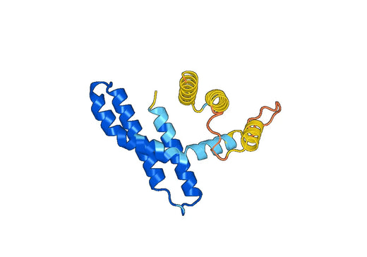 Recombinant Human PEX19 Protein, N-His