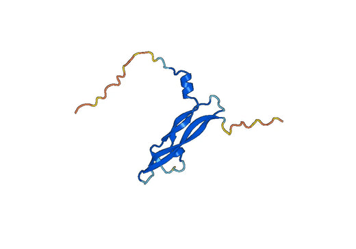 Recombinant Human PGF/PlGF/PLGF Protein, N-His