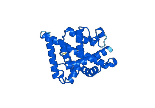 Recombinant Human PGR Protein, N-His