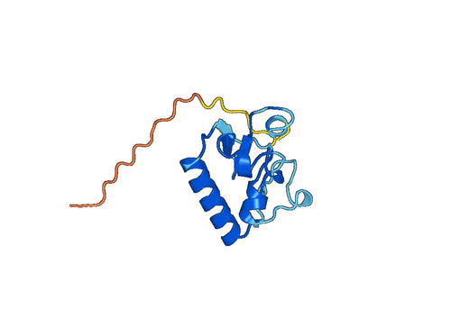 Recombinant Human PGRMC1 Protein, N-His