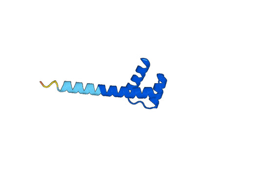 Recombinant Human PHOX2B Protein, N-His-SUMO
