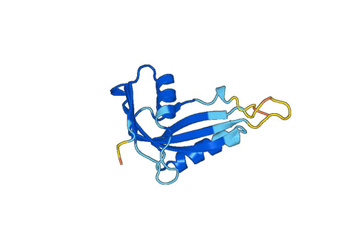 Recombinant Human PHPT1, N-His