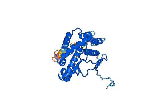 Recombinant Human PI4KB Protein, N-His