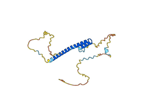 Recombinant Human PIK3AP1, N-His