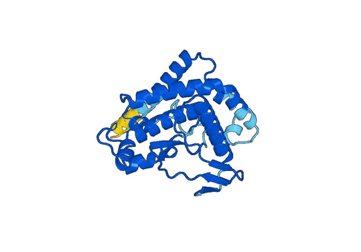 Recombinant Human PIK3C3, N-His