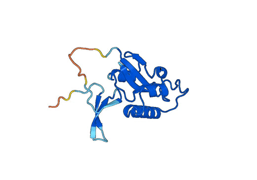 Recombinant Human PIN1 Protein, C-His